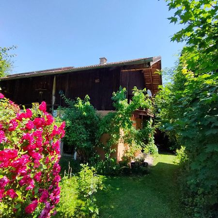 Gemuetliche Ferienwohnung Mit Kamin Und Garten Garmisch-Partenkirchen Bagian luar foto